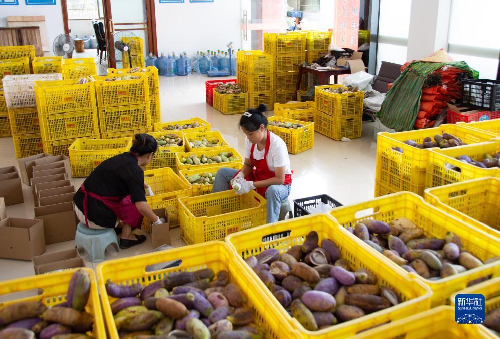 缅甸聚凌国际集团